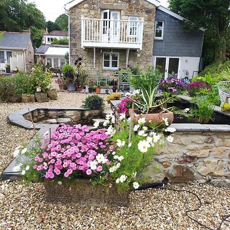 Pleasant Streams Barn Bed & Breakfast Сейнт Остел Екстериор снимка